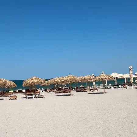 Nest By The Mamaia